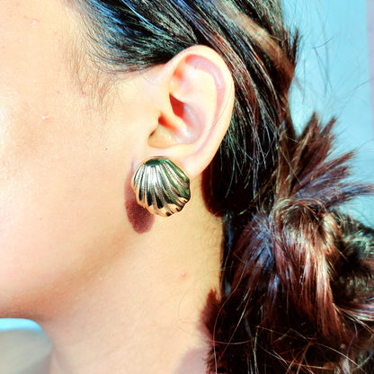 Shell earring